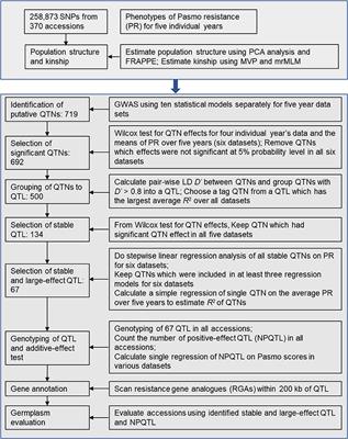 Genome-Wide Association Studies for Pasmo Resistance in Flax (Linum usitatissimum L.)